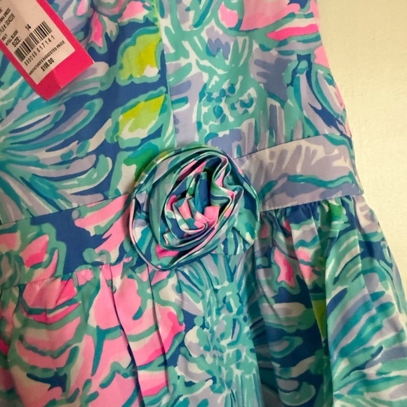 NWT! Lilly Pulitzer Mini Katrina Dress In Full Bloom. Girls size 14. Brand new - Picture 4 of 4